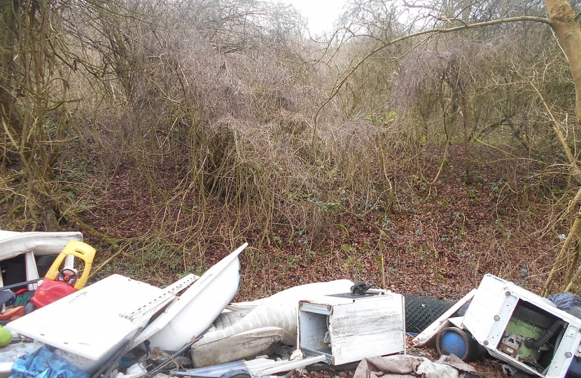 flytip